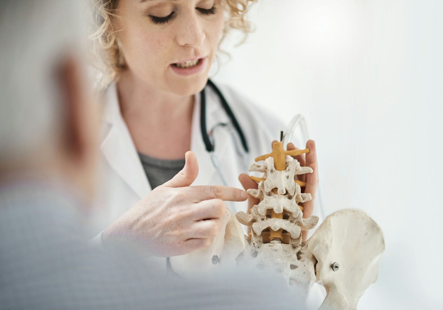 Chiropractor demonstrating spinal alignment using a model during patient consultation.