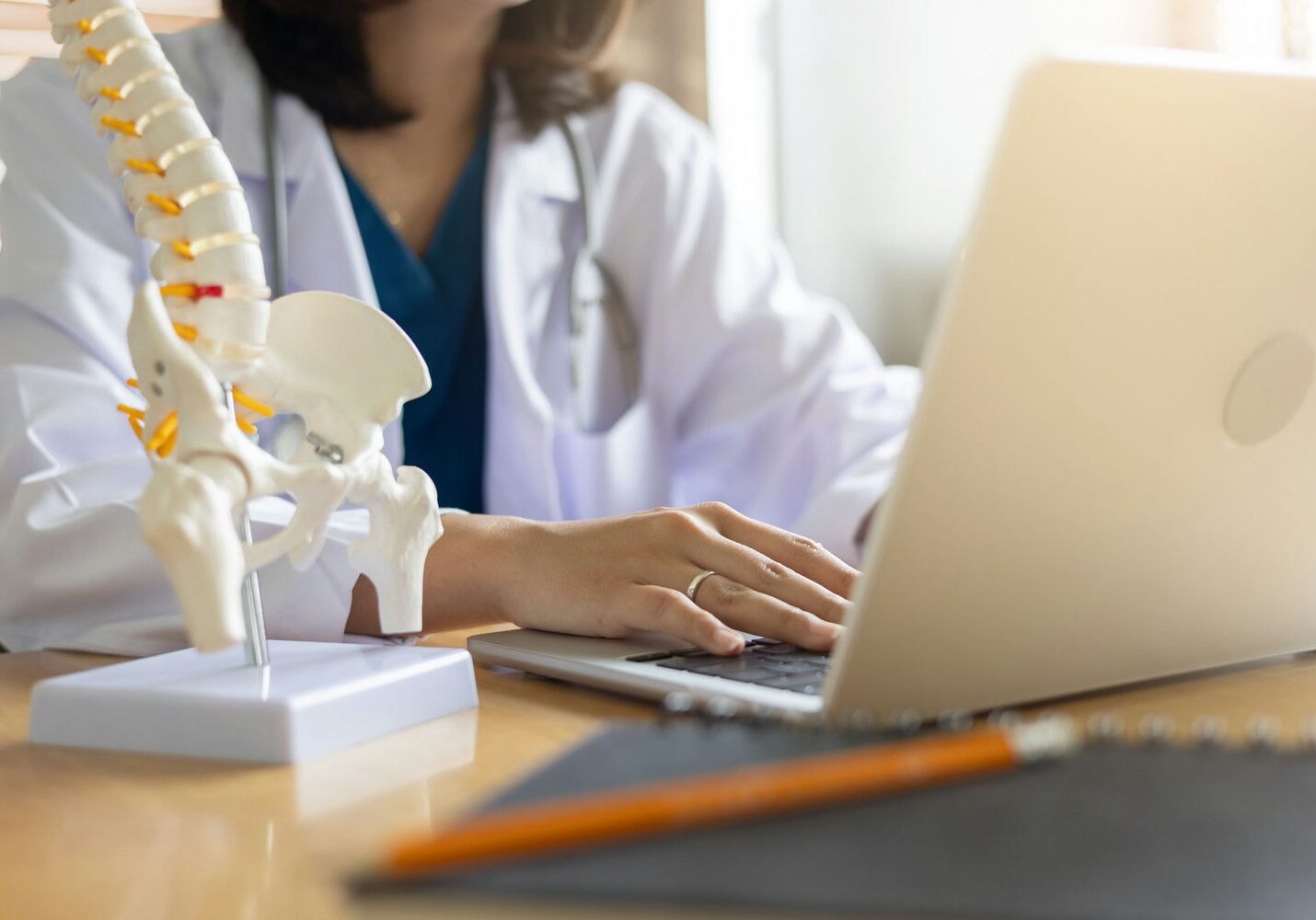 Chiropractor reviewing digital records beside a spine model before patient treatment.