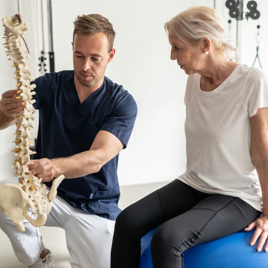 Chiropractor explaining spinal structure to patient using anatomical spine model.